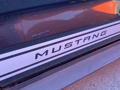 Used 2019 Ford Mustang Premium w/ Ford Safe & Smart Package image 16