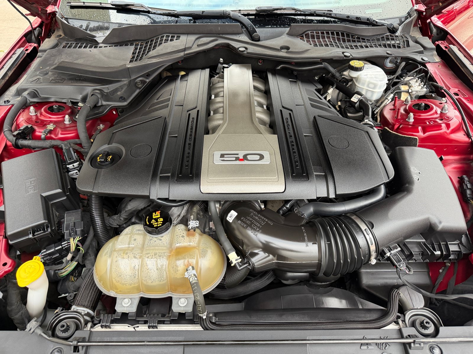 Used 2019 Ford Mustang GT w/ Equipment Group 301A RWD image 20