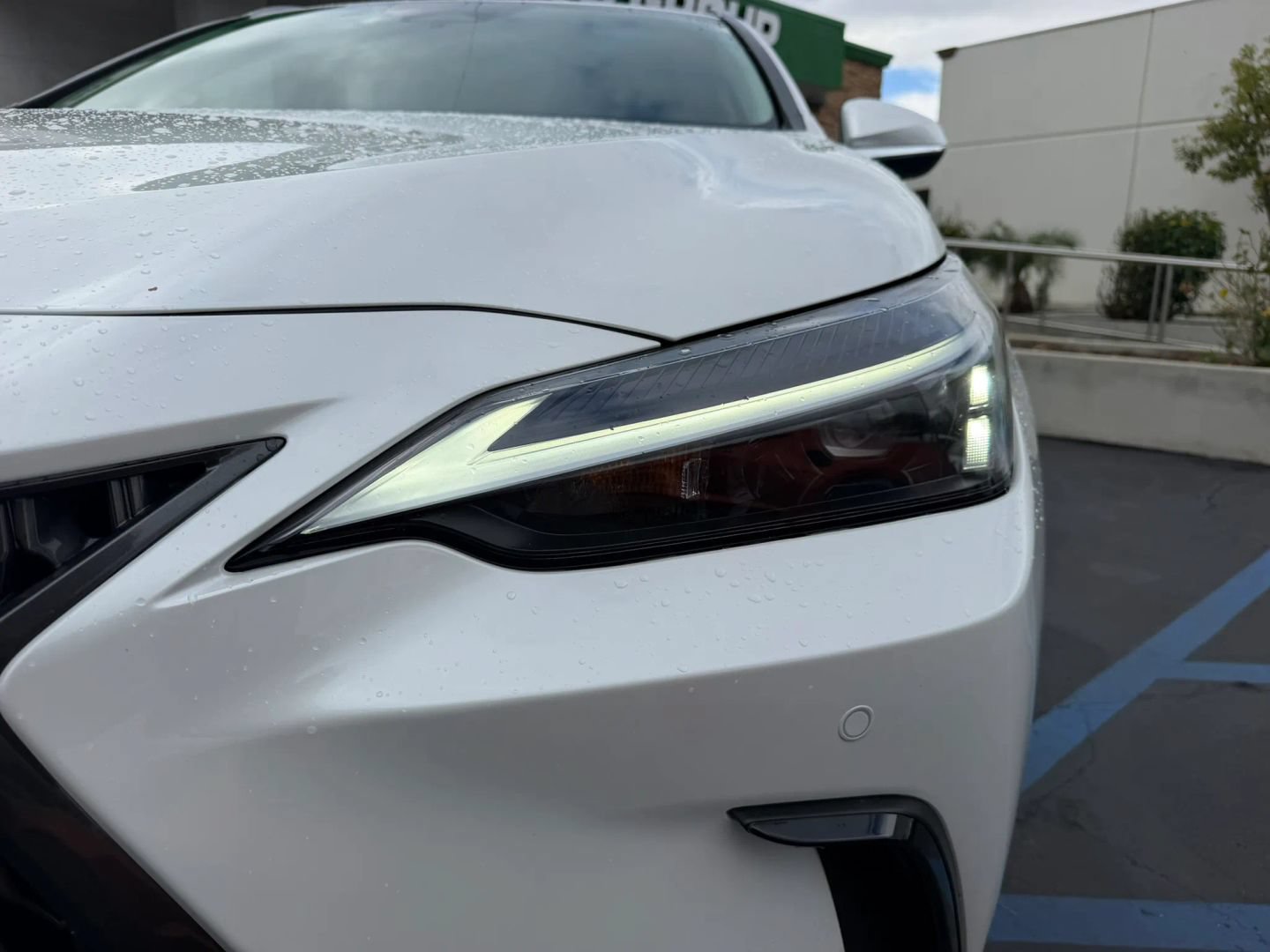 Used 2025 Lexus NX 350h AWD w/ Cold Area Package image 12