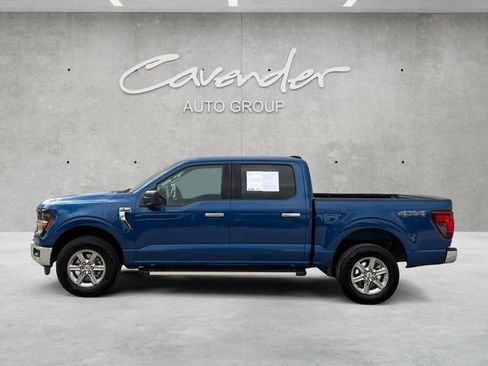 Used 2025 Ford F150 XLT w/ Equipment Group 301A Standard AWD/4WD image 13