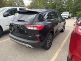 Used 2022 Ford Escape Titanium w/ Titanium Premium Package image 3
