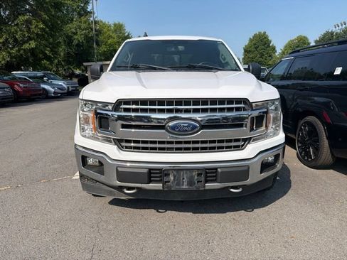 Used 2020 Ford F150 XLT w/ Equipment Group 302A Luxury AWD/4WD image 3