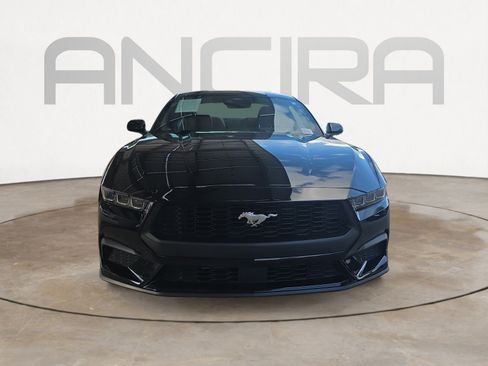 Used 2025 Ford Mustang Premium RWD image 3
