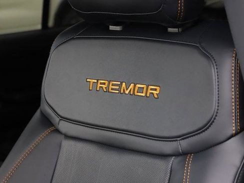 New 2025 Ford Expedition Tremor image 19