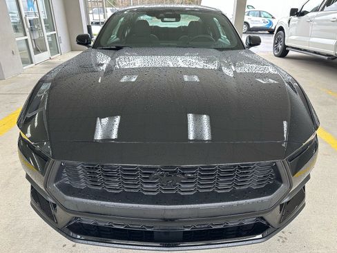 New 2026 Ford Mustang Coupe w/ Mustang Nite Pony Package image 5