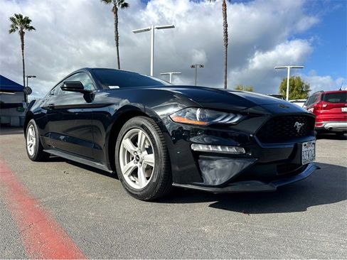 Used 2019 Ford Mustang Coupe image 3
