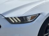 Used 2015 Ford Mustang Premium w/ Equipment Group 201A image 6