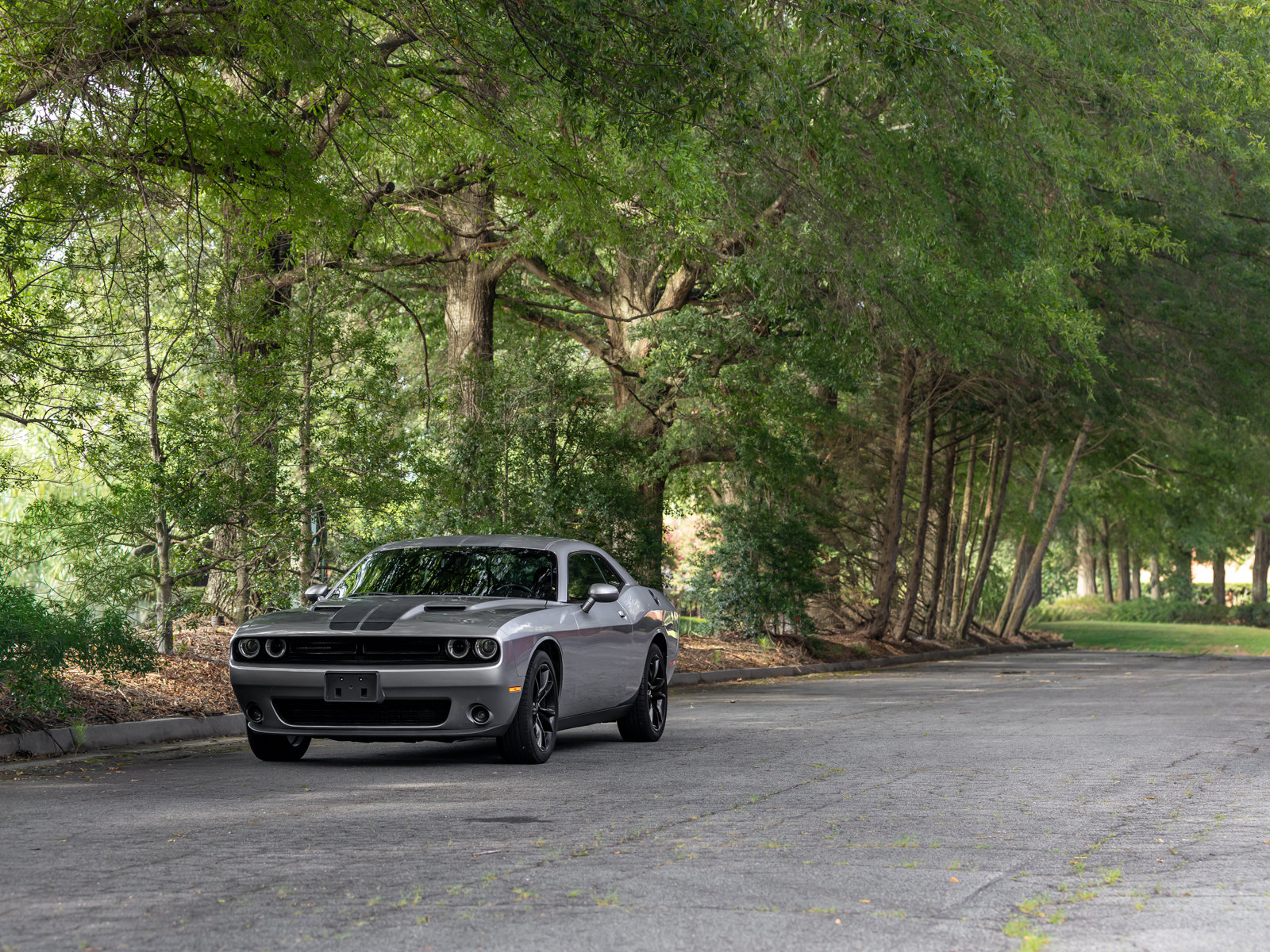 Used 2017 Dodge Challenger SXT Plus RWD image 35