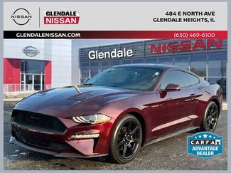 Used 2018 Ford Mustang Coupe w/ Black Accent Pkg RWD video 1