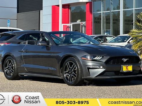 Used 2019 Ford Mustang Premium image 1
