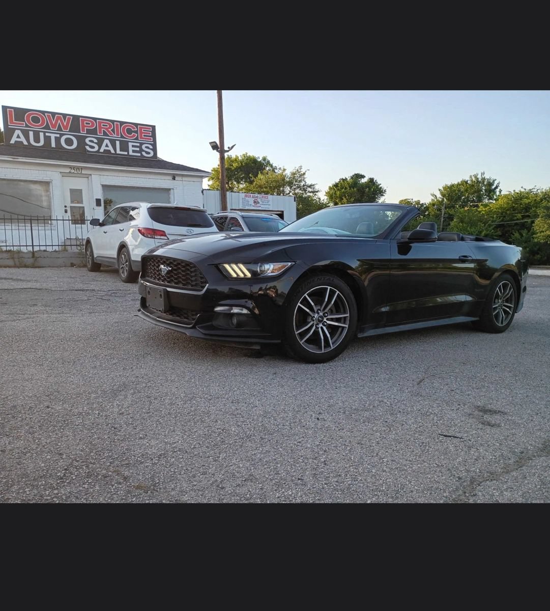 Used 2017 Ford Mustang Premium RWD image 9
