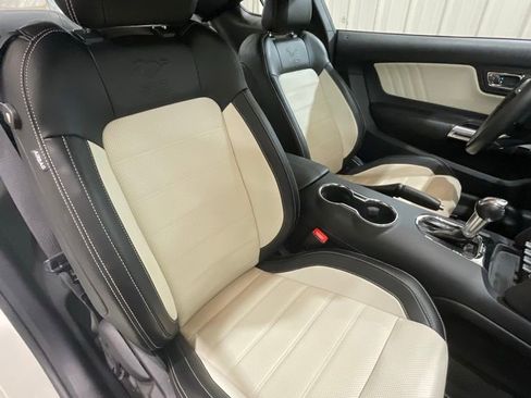 Used 2015 Ford Mustang 50 Years image 13