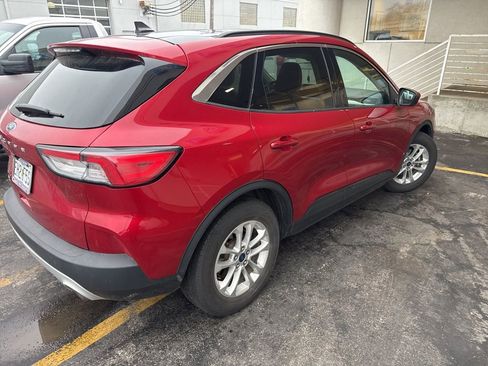 Used 2020 Ford Escape SE image 4