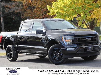 Certified 2023 Ford F150 XLT w/ Equipment Group 302A High