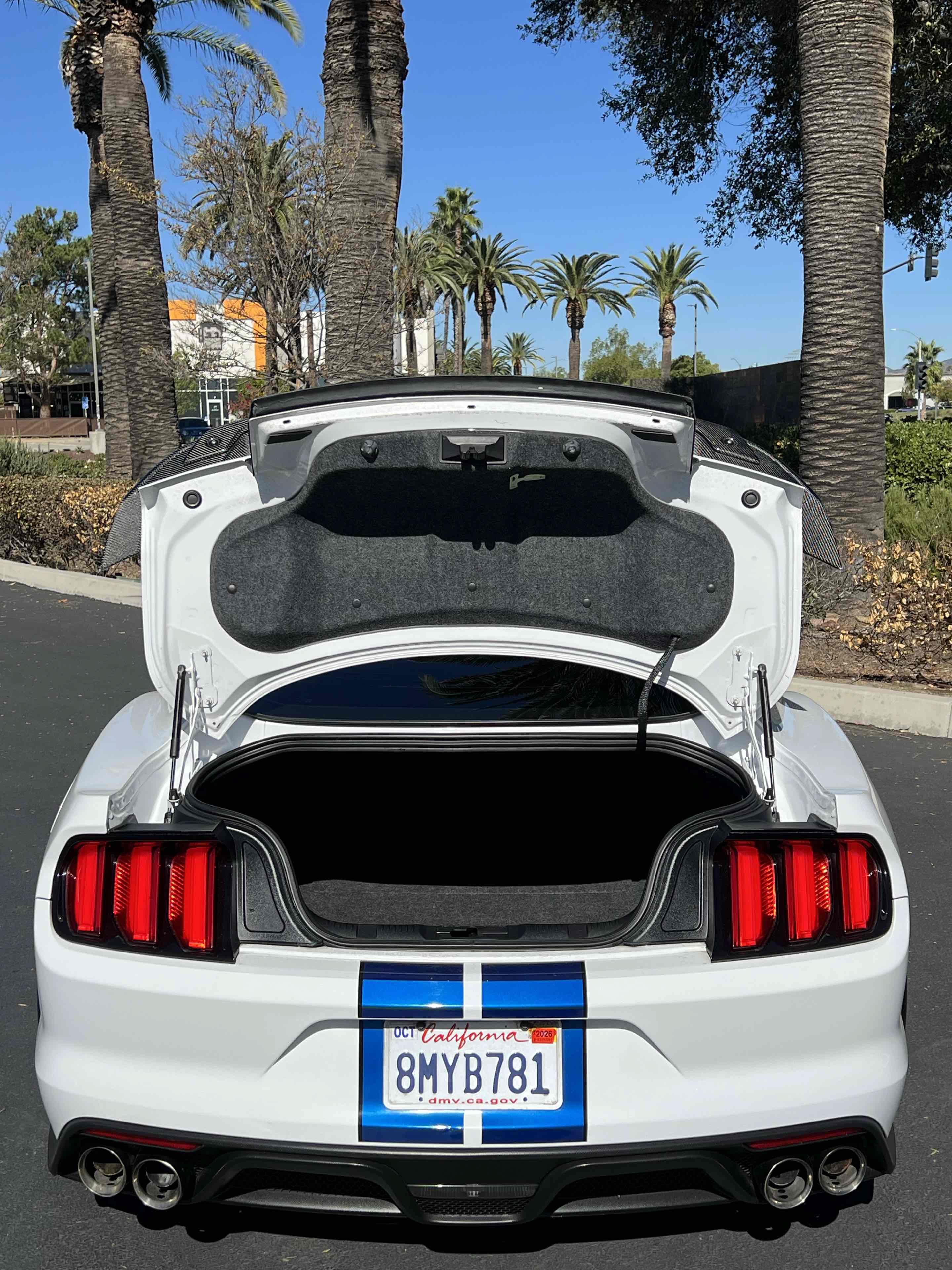 Used 2017 Ford Mustang Shelby GT350 RWD image 75