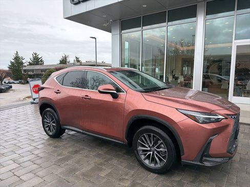 Certified 2025 Lexus NX 350h AWD w/ Cold Area Package image 5