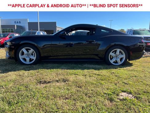 New 2026 Ford Mustang Coupe image 5