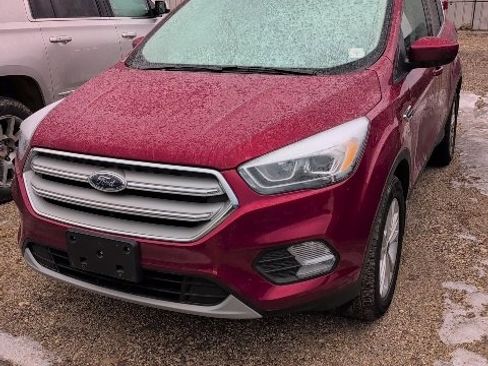 Used 2019 Ford Escape SEL image 1
