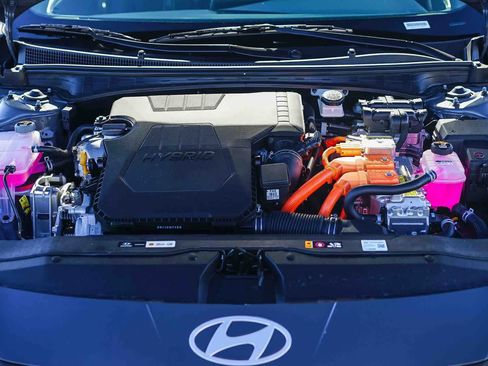 New 2026 Hyundai Elantra Sport w/ Cargo Package image 13