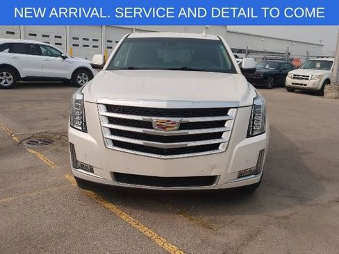 Used 2019 Cadillac Escalade Luxury AWD/4WD image 5
