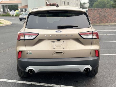 Used 2021 Ford Escape SE w/ Convenience Package FWD image 6