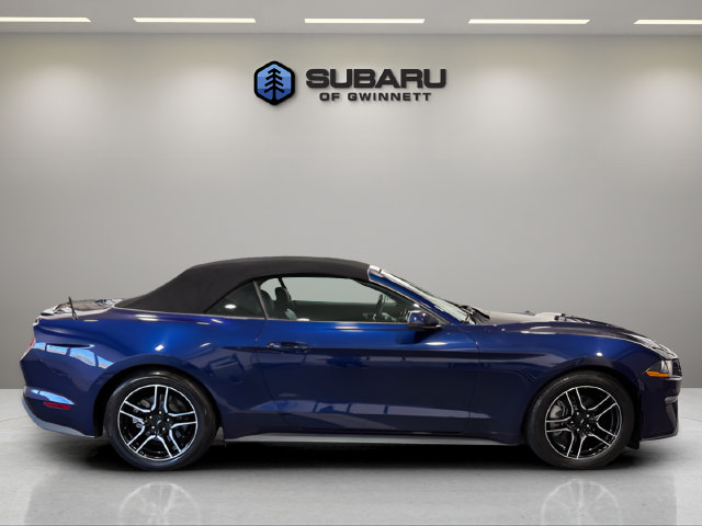 Used 2019 Ford Mustang Premium RWD image 6