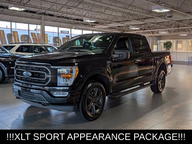 Used 2023 Ford F150 XLT w/ Equipment Group 302A High AWD/4WD image 4