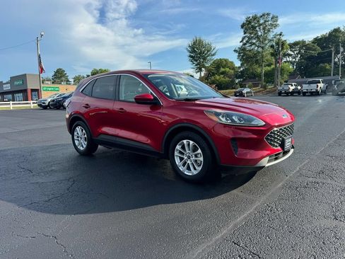 Used 2020 Ford Escape SE FWD image 4
