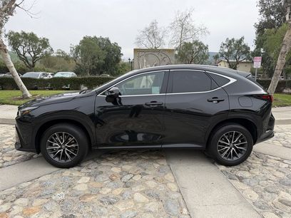 Used 2024 Lexus NX 250 FWD w/ Cold Area Package
