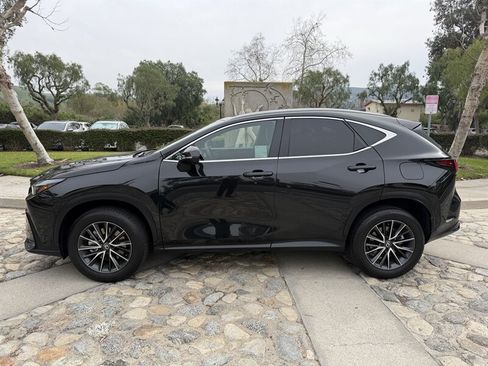 Used 2024 Lexus NX 250 FWD w/ Cold Area Package image 1