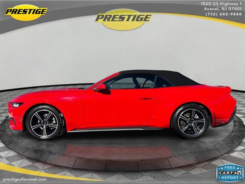 Used 2024 Ford Mustang Premium image 8