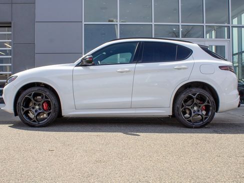 New 2025 Alfa Romeo Stelvio Tributo Italiano w/ Active Assist Plus Package image 7