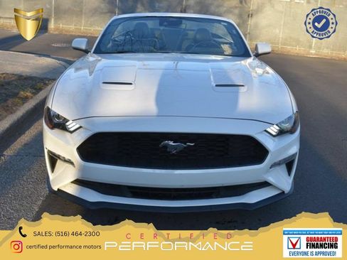 Used 2023 Ford Mustang Premium RWD image 1