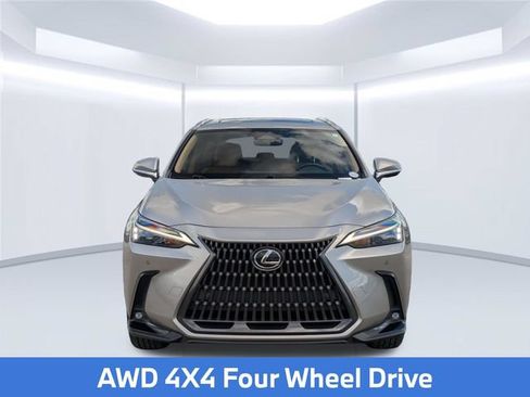 Used 2024 Lexus NX 350h AWD w/ Cold Area Package image 11