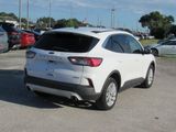 Used 2020 Ford Escape SE image 4