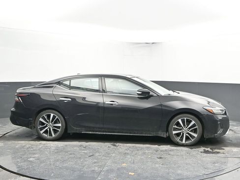 Used 2023 Nissan Maxima SL image 12