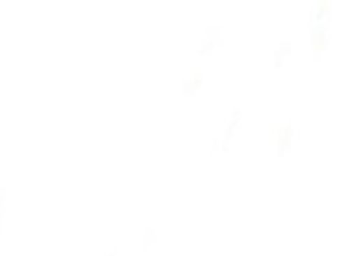 Certified 2022 Nissan Altima 2.5 SV w/ SV Premium Package image 6