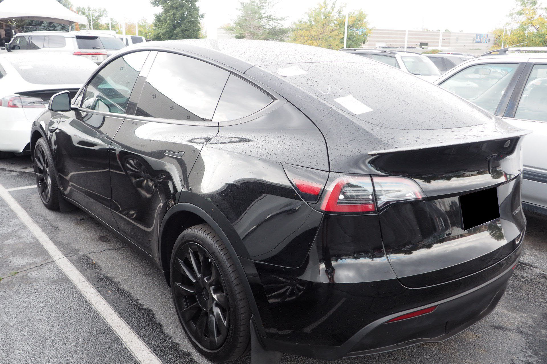 Used 2023 Tesla Model Y Long Range AWD/4WD image 4
