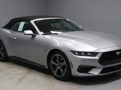 Certified 2025 Ford Mustang Premium