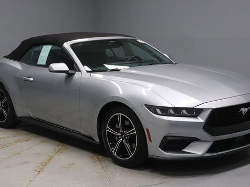 Certified 2025 Ford Mustang Premium image 1