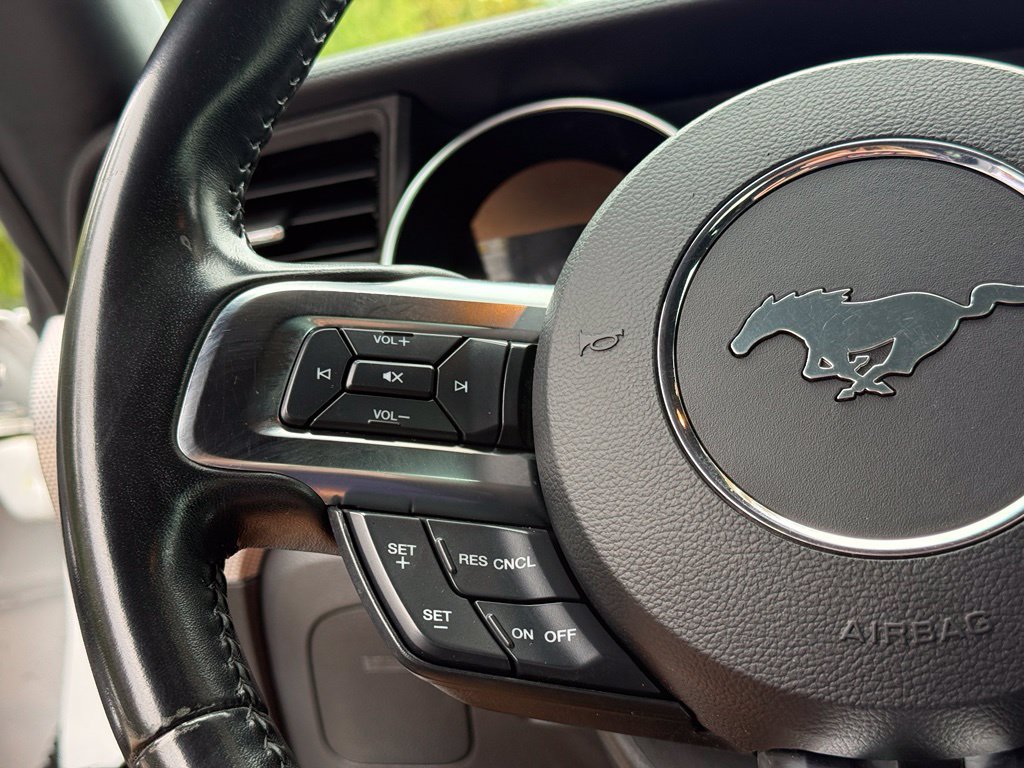 Used 2019 Ford Mustang GT w/ Black Accent Package RWD image 19