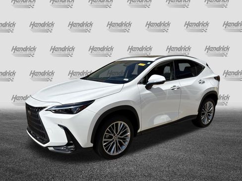 Certified 2026 Lexus NX 350 AWD w/ Cold Area Package image 5