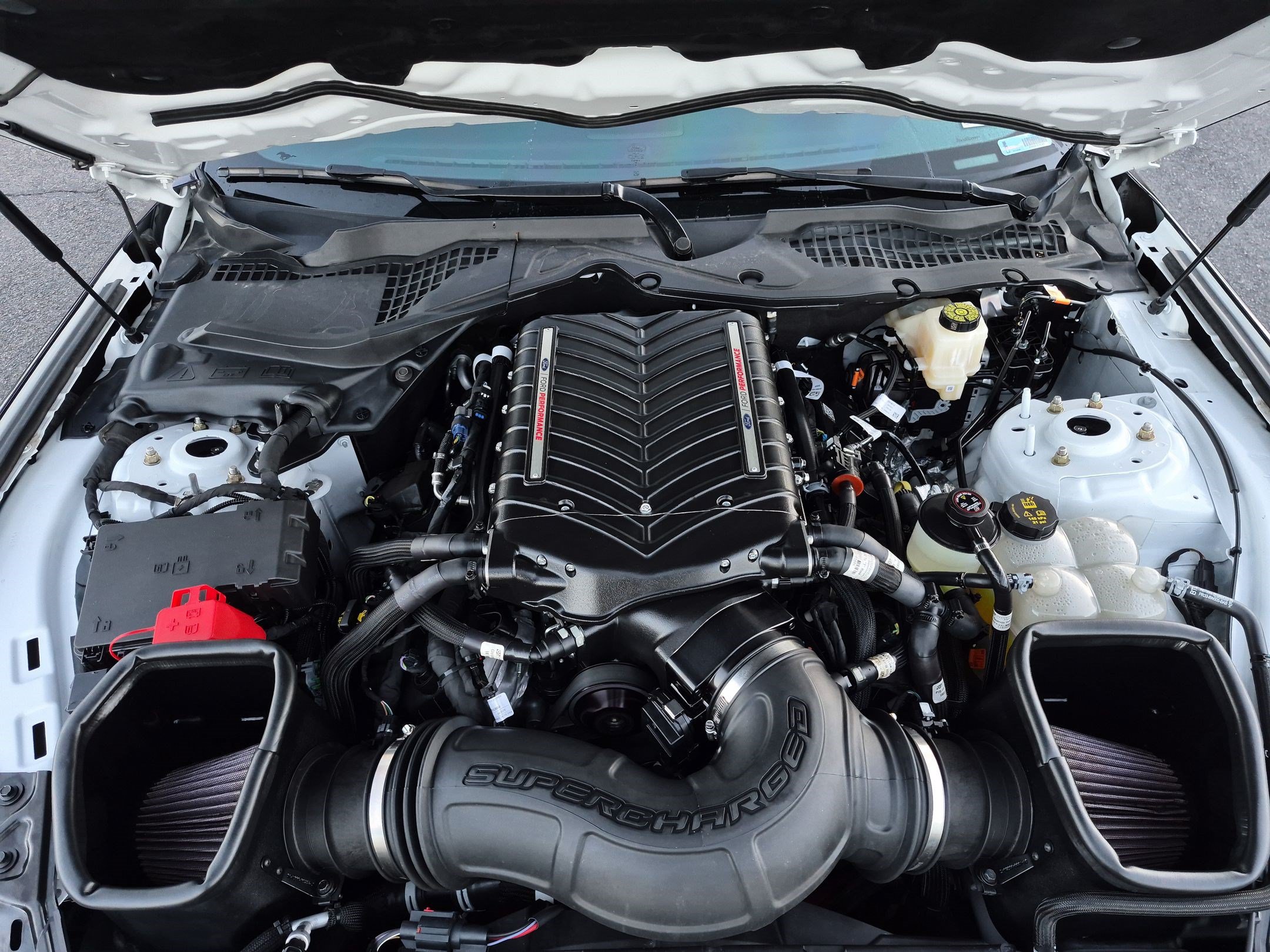 Used 2024 Ford Mustang GT Premium RWD image 35