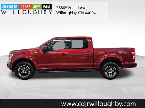 Used 2019 Ford F150 XLT w/ Equipment Group 302A Luxury AWD/4WD image 5