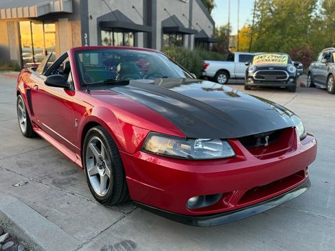 Used 2001 Ford Mustang Cobra image 10