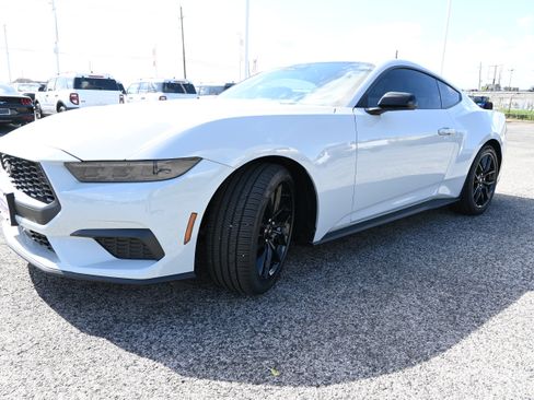 New 2026 Ford Mustang Coupe w/ Mustang Nite Pony Package RWD image 7