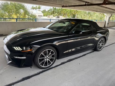 Used 2019 Ford Mustang Premium w/ Equipment Group 201A RWD image 1