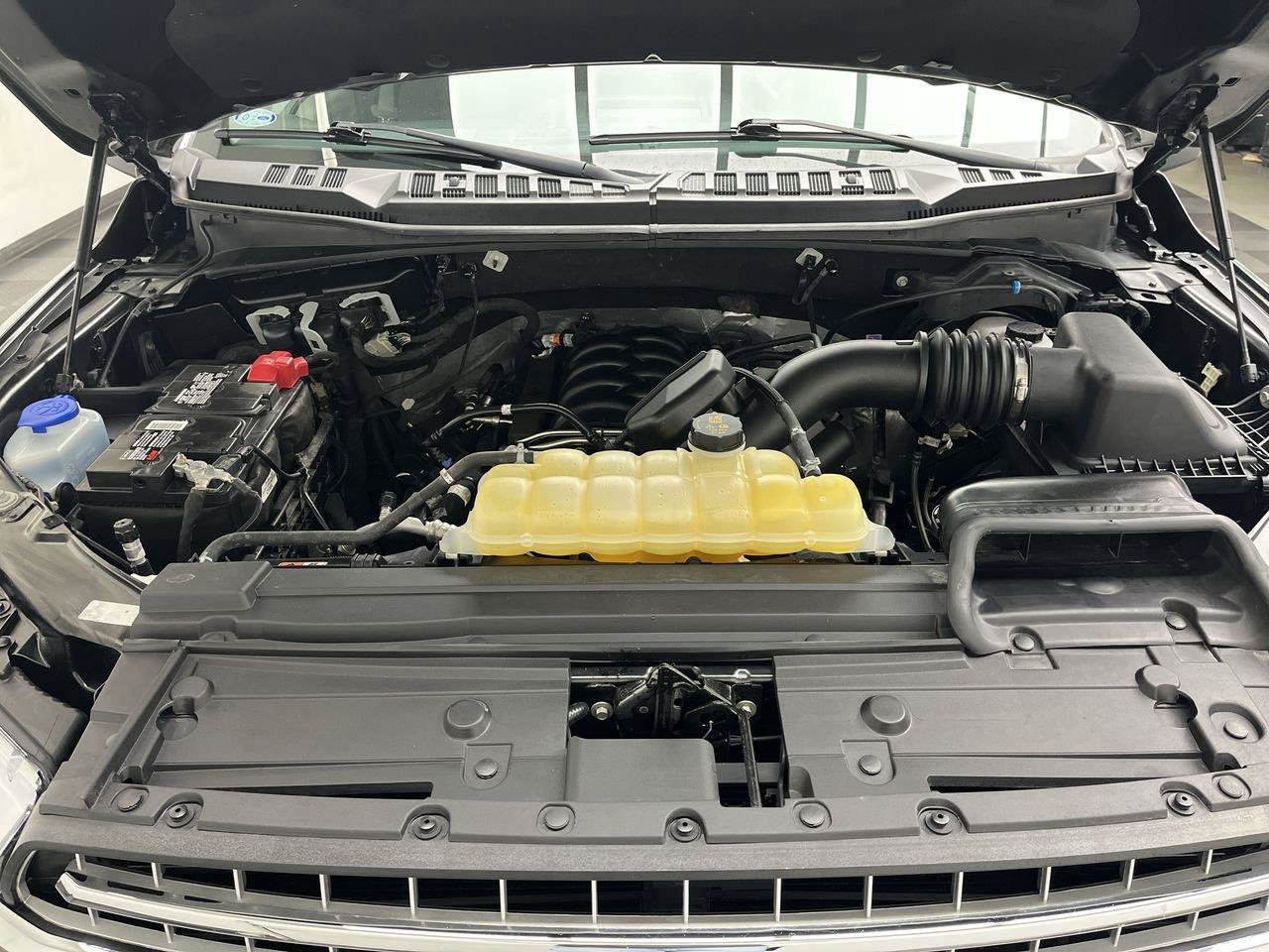 Used 2019 Ford F150 XLT w/ Equipment Group 302A Luxury AWD/4WD image 29