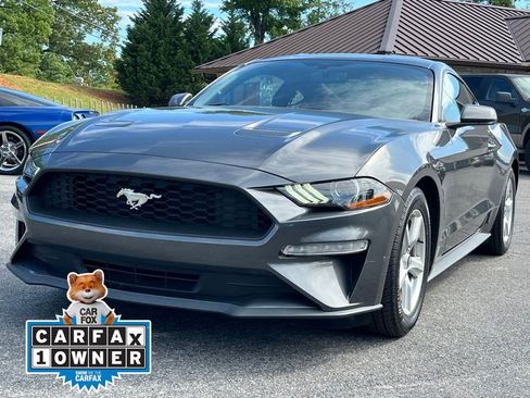 Used 2019 Ford Mustang Coupe RWD image 3