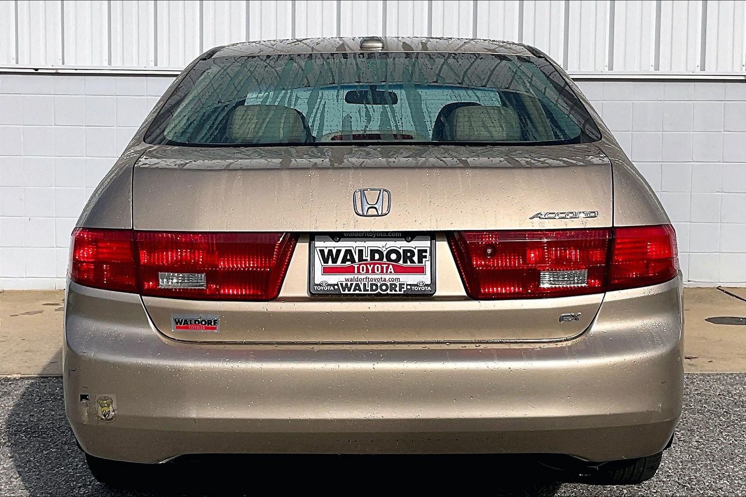 Used 2005 Honda Accord EX-L image 5
